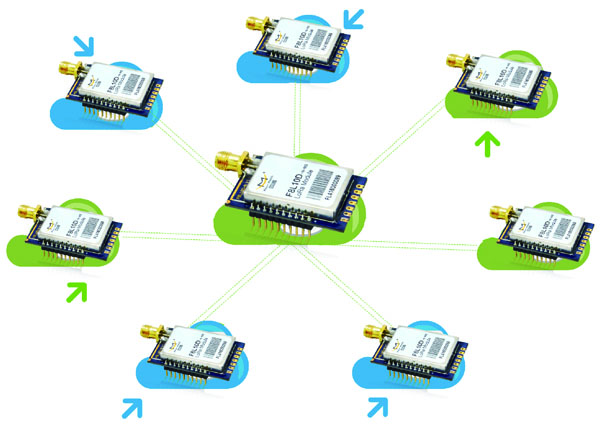 Large Network Capacity, Flexible Networking, and Low Cost