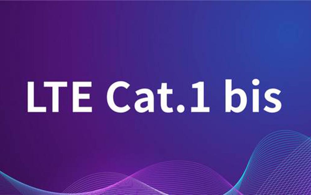 Cat 1bis